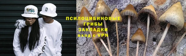 первитин Горняк