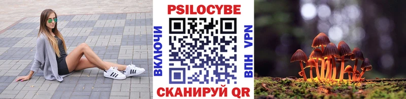 цена   Петров Вал  Псилоцибиновые грибы Psilocybine cubensis 